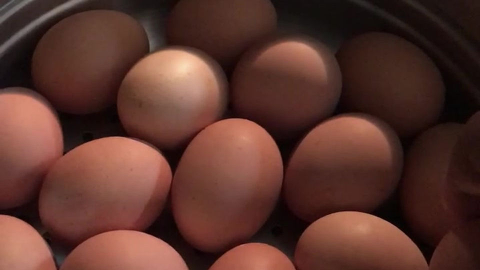 Egg -